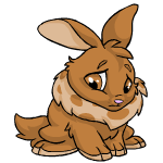 Brown Cybunny