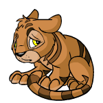 Brown Kougra