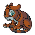 Brown Kougra