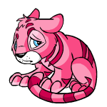 Pink Kougra