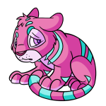 Pink Kougra