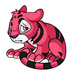 Pink Kougra