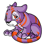 Purple Kougra