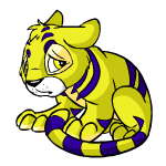 Yellow Kougra