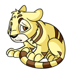 Yellow Kougra