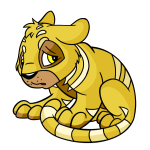 Yellow Kougra