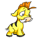 Yellow Moehog