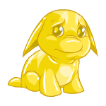 Gold Poogle