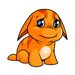 Orange Poogle