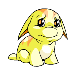 Yellow Poogle