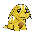 Yellow Poogle