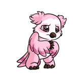 Pink Vandagyre