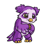 Purple Vandagyre