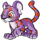 Purple Kougra