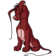 Red Gelert